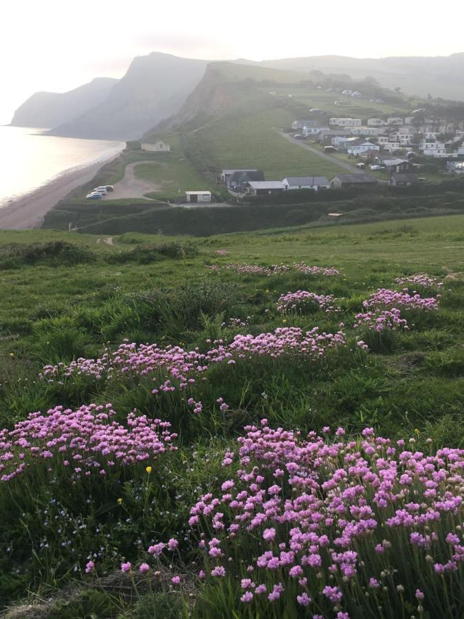 Heatherbell Cottage Guest Accommodation West Bay Exterior photo